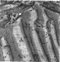 嘿嘿嘿网站入口中铁磁性材料磁粉成像