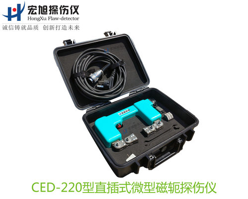 CED220型直插式微型磁轭嘿嘿连载污版